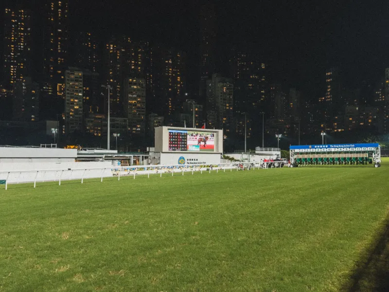 Ditch the Horseshoe: How Aussie Punters Win More by Betting on Data, Not Destiny